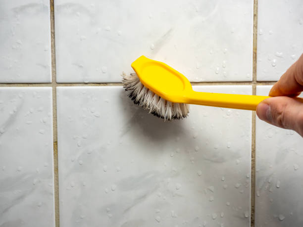 Best Basement Mold Remediation in Sauk City, WI