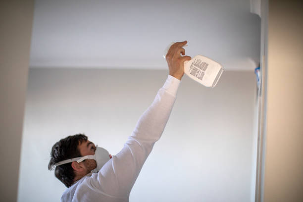 Best Kitchen Mold Remediation in Sauk City, WI