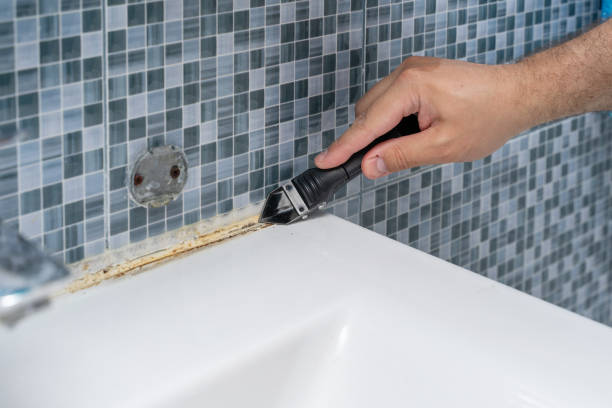 Best Residential Mold Remediation in Sauk City, WI