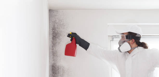 Best Bathroom Mold Remediation in Sauk City, WI